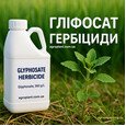 Глифосат - Гербициды Сплошного Действия