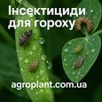 Інсектициди для гороху