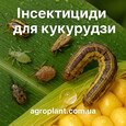 Інсектициди для кукурудзи