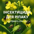 Інсектициди для ріпаку