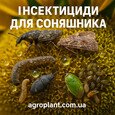Інсектициди для соняшника