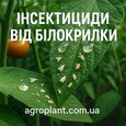 Інсектициди від білокрилки