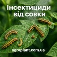 Інсектициди від совки