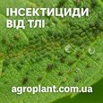 Інсектициди від тлі
