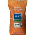 Подсолнух May Seed