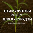 Стимулятори росту для кукурудзи