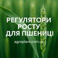 Регулятор роста для зерновых