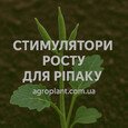 Стимулятори росту для ріпаку