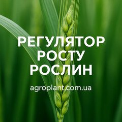 Регулятори росту