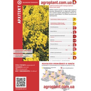 Архитект озимый рапс