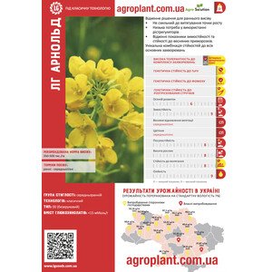 ЛГ Арнольд озимый рапс