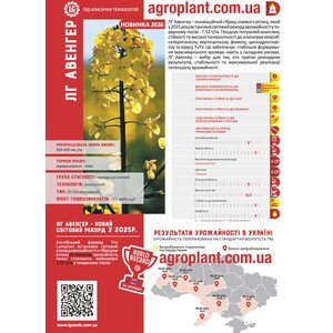 ЛГ Авенгер озимый рапс