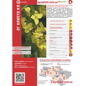 ЛГ Крипто КЛ озимий ріпак