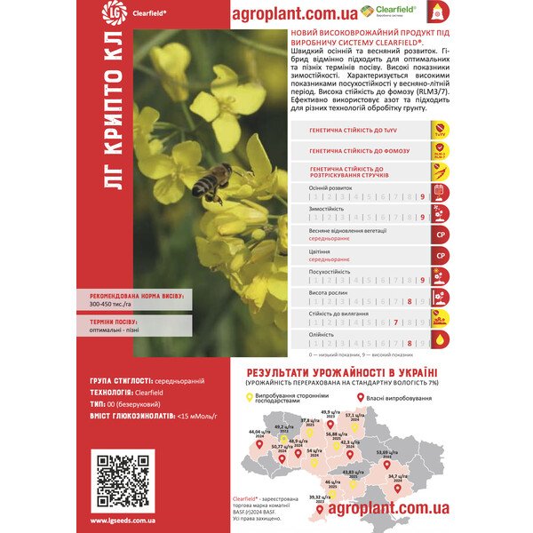 ЛГ Крипто КЛ озимий ріпак