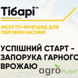 Тибари