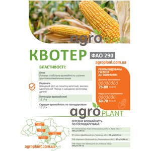 Кукурудза Квотер