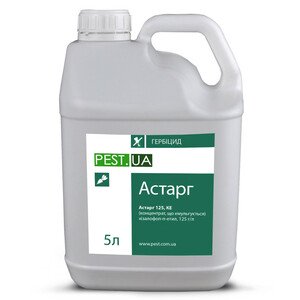 Астарг