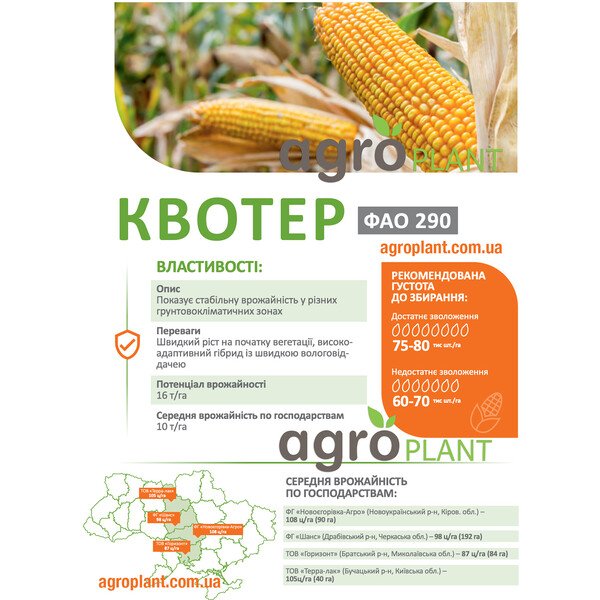 Кукурудза Квотер (ФАО 290) — стабільний гібрид ДеМаркус