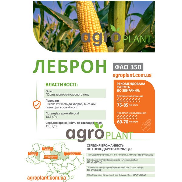Кукуруза Леброн ДеМаркус – семена с урожайностью до 18,5 т/га (ФАО 350)