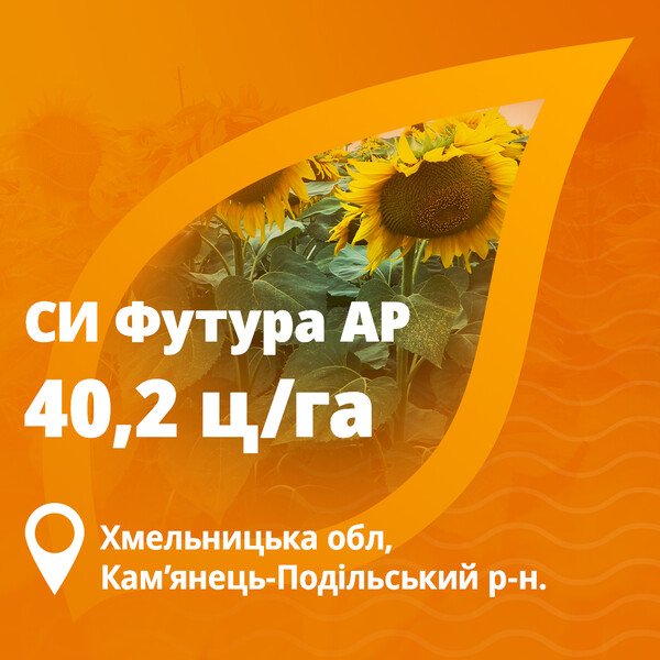 Футура подсолнечник