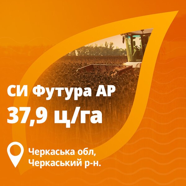 Футура подсолнечник