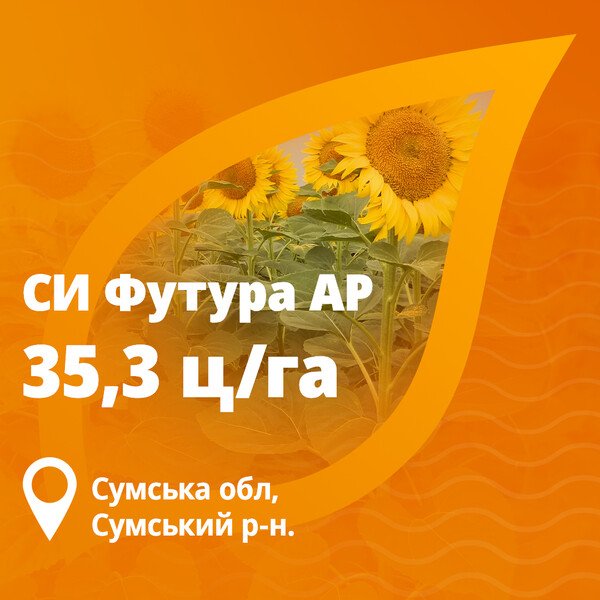 Футура подсолнечник