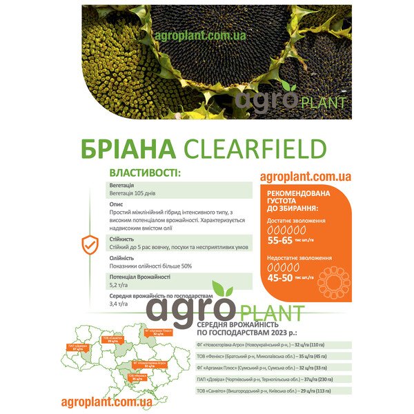 Насіння соняшника Бріана ДеМаркус – CLEARFIELD | ціна, опис, врожайність
