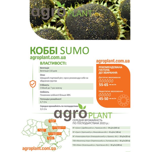 Коббі соняшник – ранньостиглий SUMO-гібрид з олійністю 48 %+