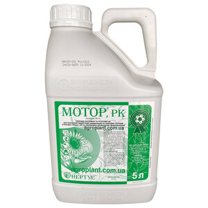 Мотор