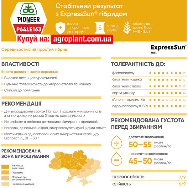 Піонер 163 соняшник – П64ЛЕ163 / P64LE163 (ExpressSun)