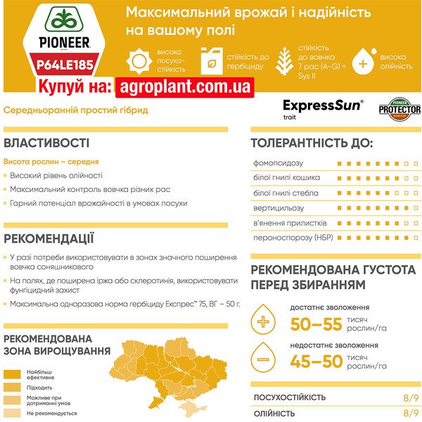Піонер 185 соняшник – П64ЛЕ185 / P64LE185 (ExpressSun)