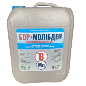 Бор Молибден
