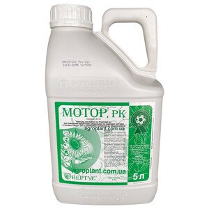 Мотор