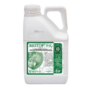 Мотор