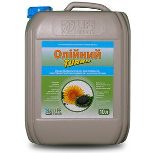Масленичный Турбо