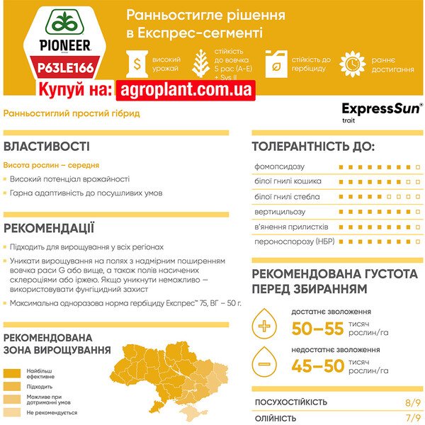 Пионер 166 подсолнечник – П63ЛЕ166 / P63LE166 (ExpressSun)