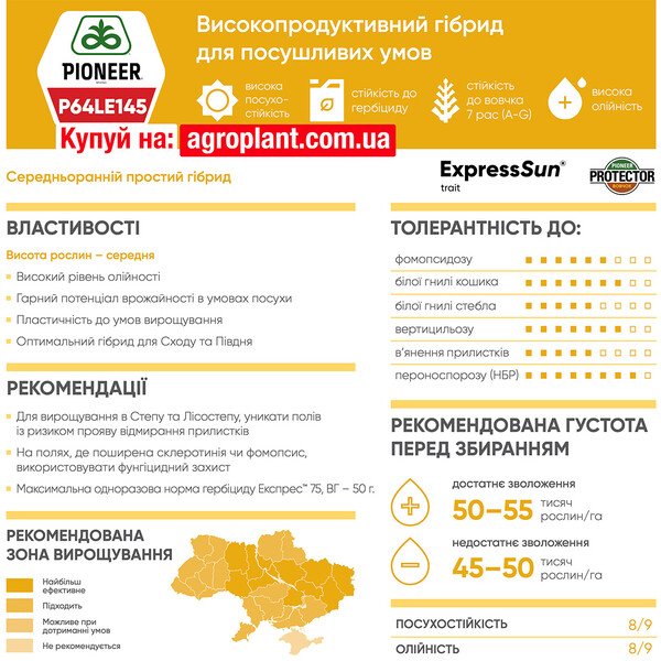 Піонер 145 соняшник – П64ЛЕ145 / P64LE145 (ExpressSun)