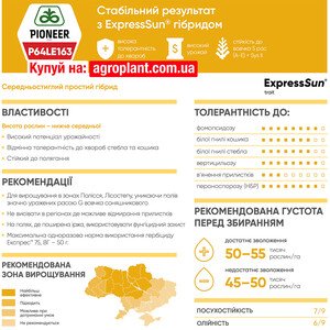 П64ЛЕ163