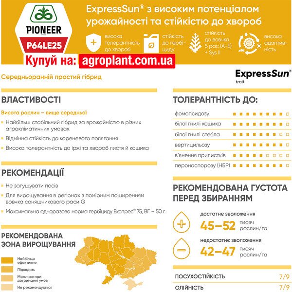 П64ЛЕ25 (P64LE25) подсолнечник