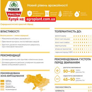 П64ЛЛ164