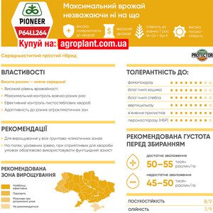 П64ЛЛ264
