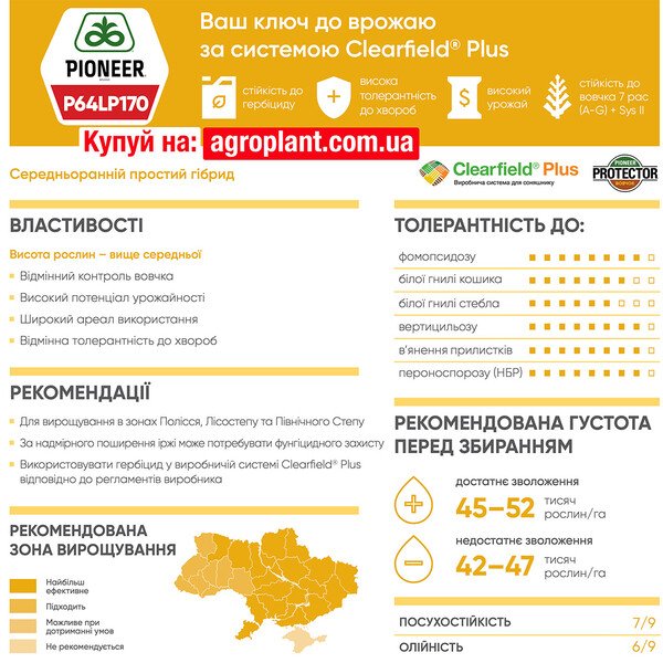 Пионер 170 подсолнечник – П64ЛП170 / P64LP170 (Clearfield® Plus)