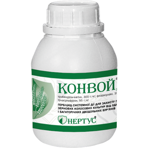 Конвой
