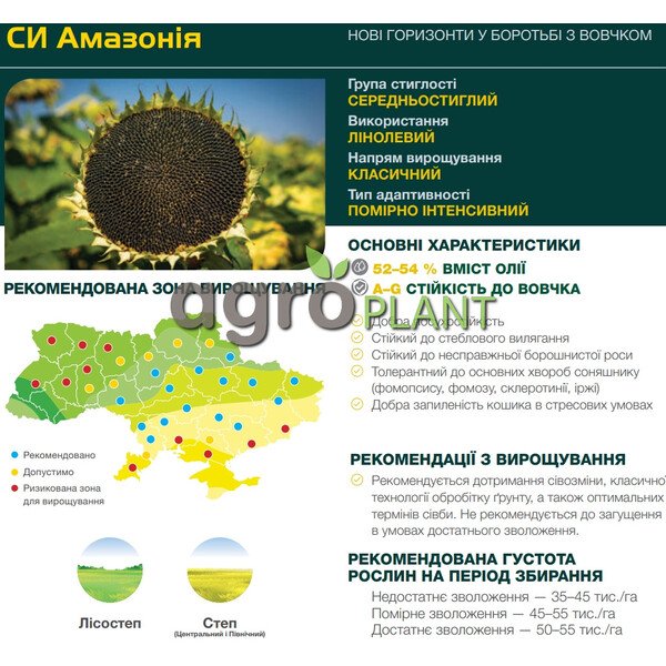 Амазонія соняшник