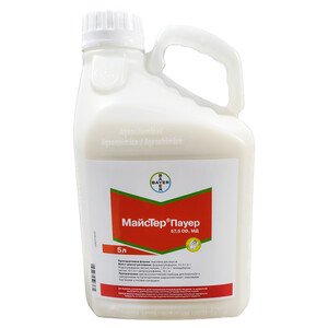 Майстер Пауер