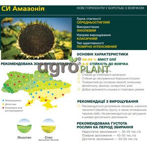 Соняшник Амазонія