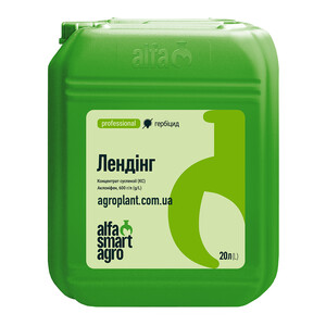 Лендинг
