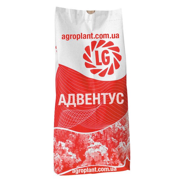 ЛГ Адвентус озимый рапс