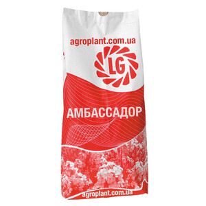 Амбассадор озимий ріпак