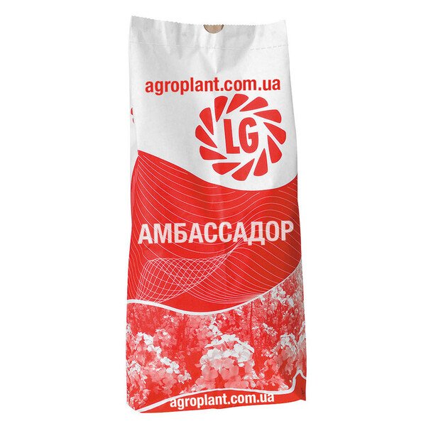 Амбассадор рапс